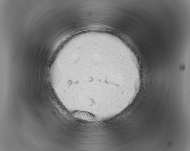 X0000114031067200911131244