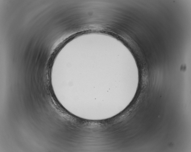 X0000114031070200911131244