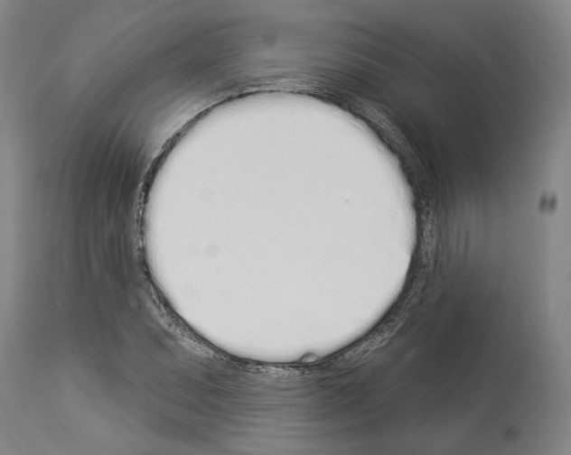 X0000114031071200911131244