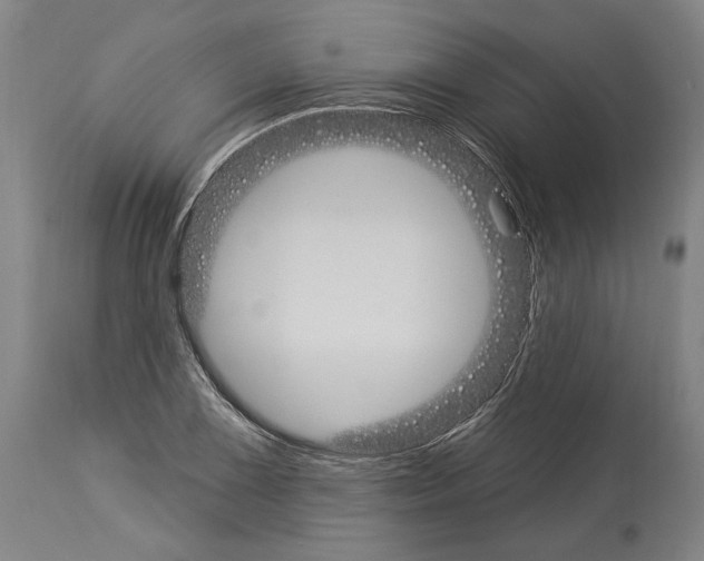 X0000114031075200911131244