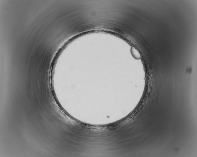 X0000114031076200911131244