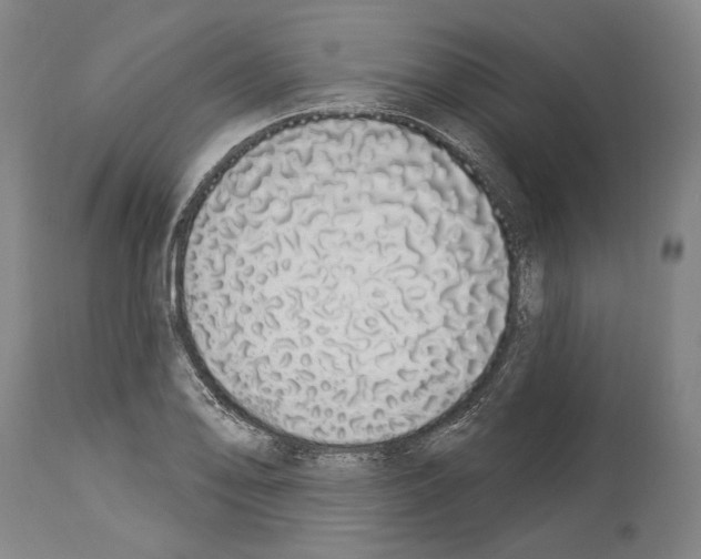 X0000114031078200911131244