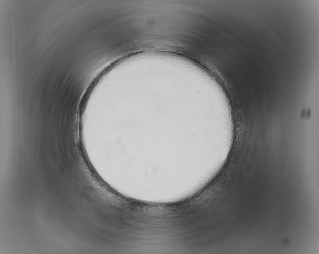 X0000114031079200911131244