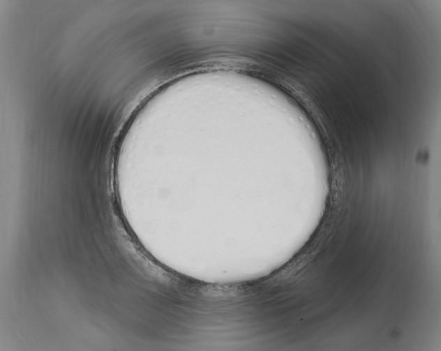 X0000114031083200911131244