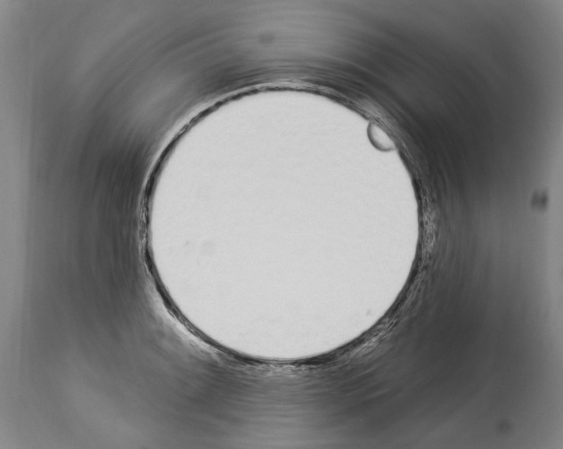 X0000114031084200911131244