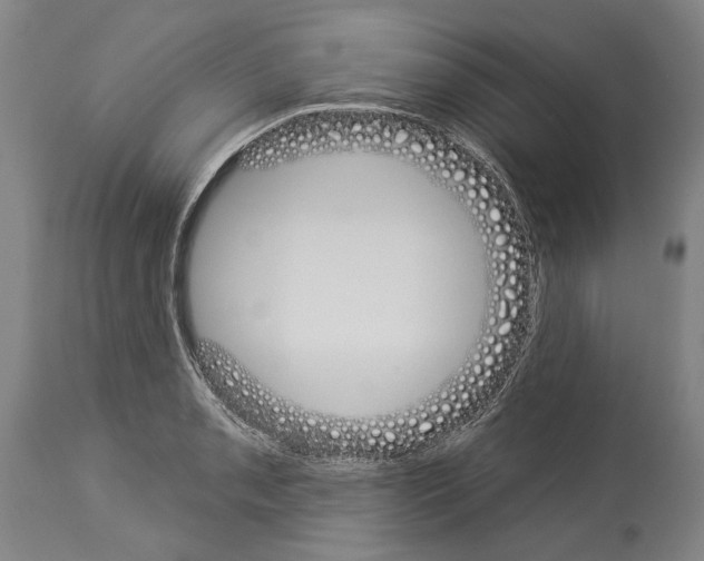 X0000114031085200911131244