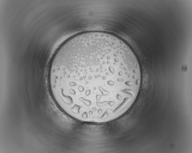 X0000114031086200911131244