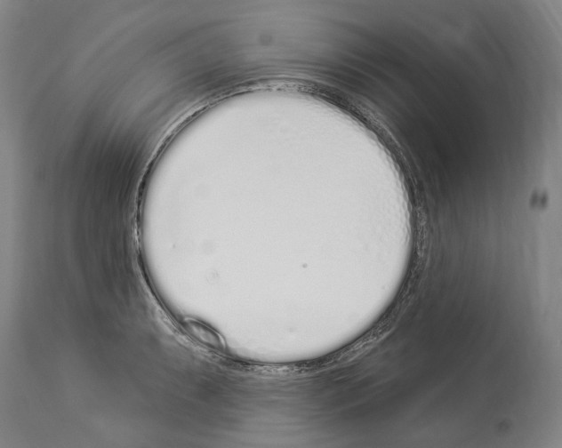 X0000114031087200911131244