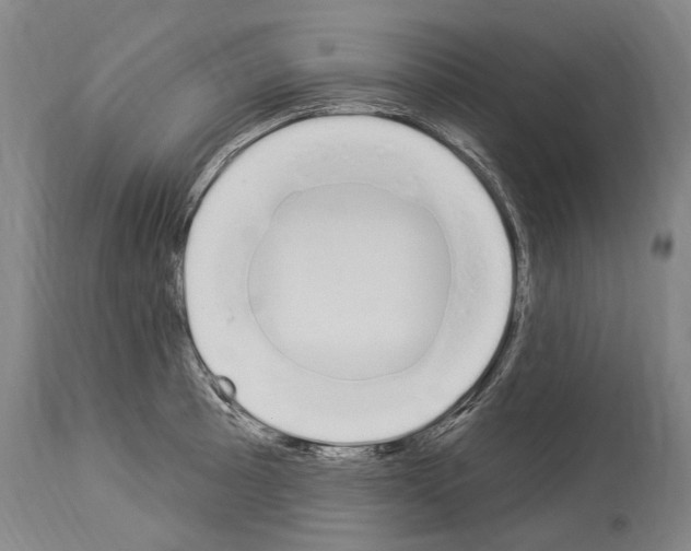 X0000114031089200911131244