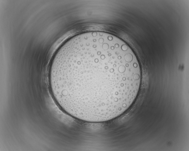 X0000114031090200911131244