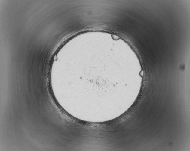 X0000114031093200911131244