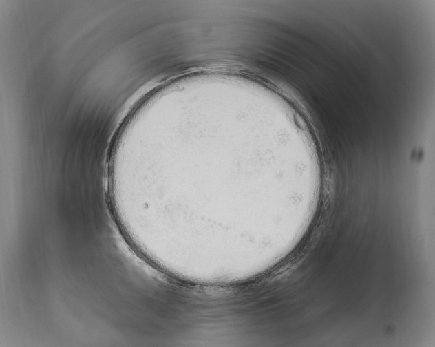 X0000114031095200911131243