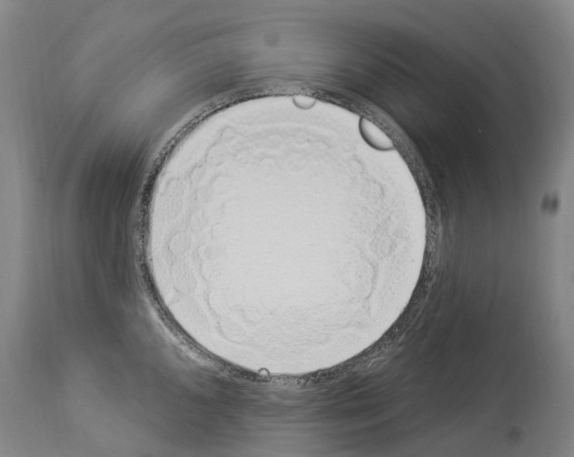 X0000114031096200911131243