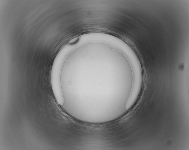 X0000114031097200911131243