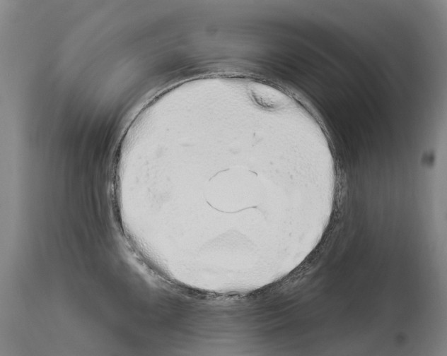 X0000114031099200911131243