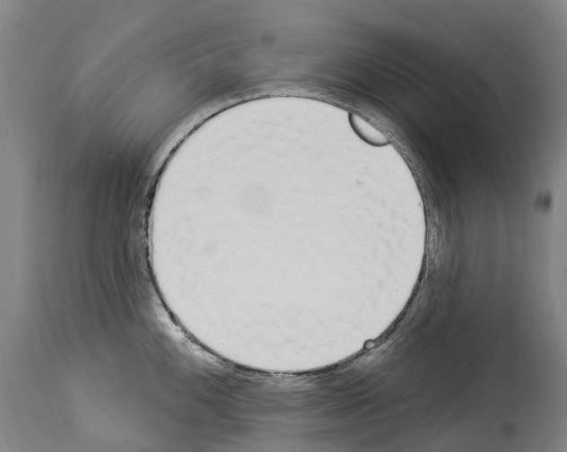 X0000114031100200911131243