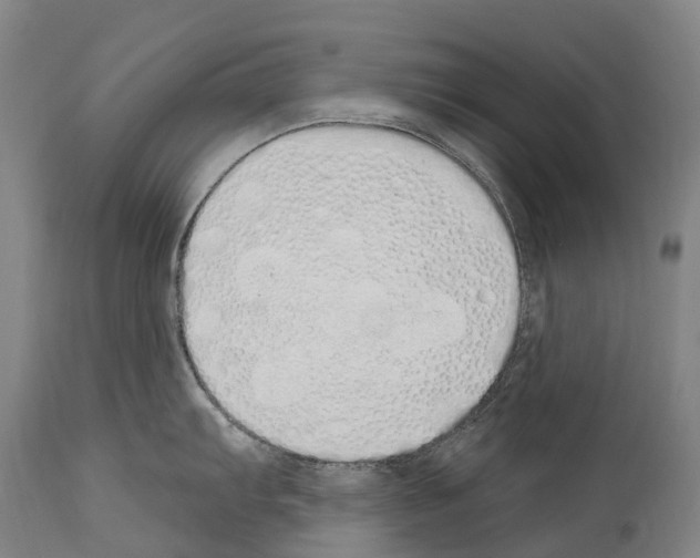 X0000114031103200911131243