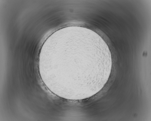 X0000114031104200911131243