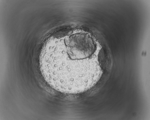 X0000114031105200911131243