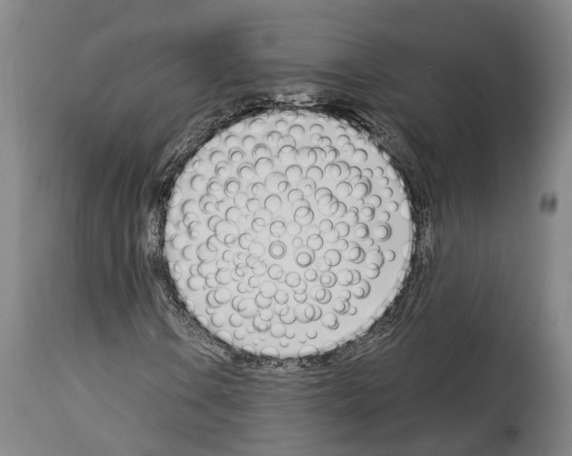 X0000114031106200911131243