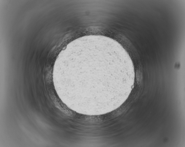 X0000114031107200911131243