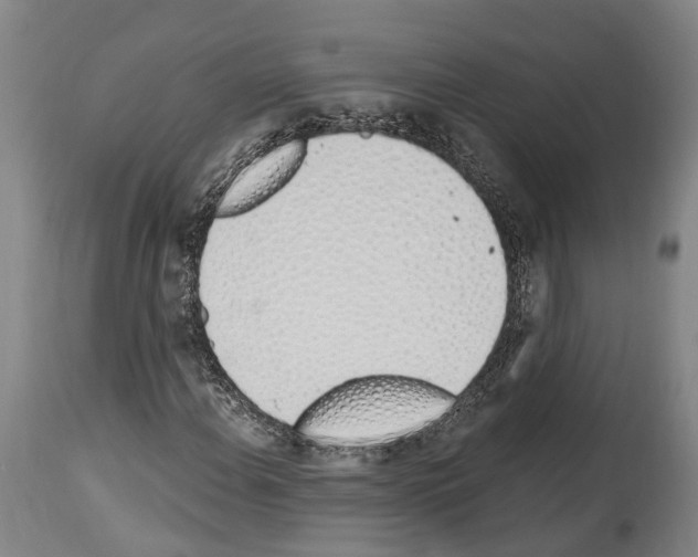 X0000114031108200911131243