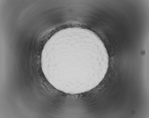 X0000114031111200911131243