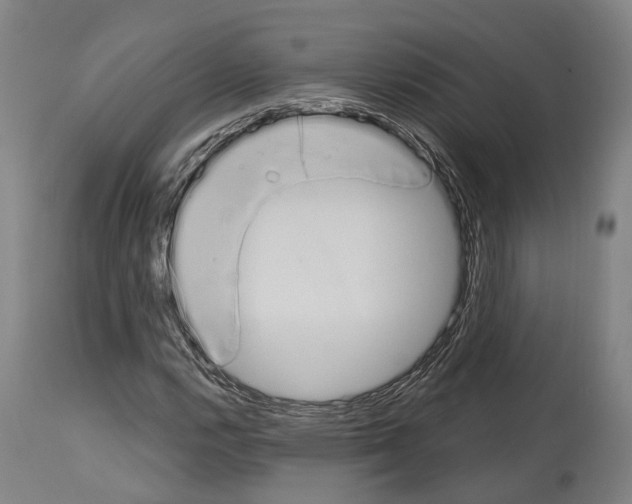 X0000114031112200911131243