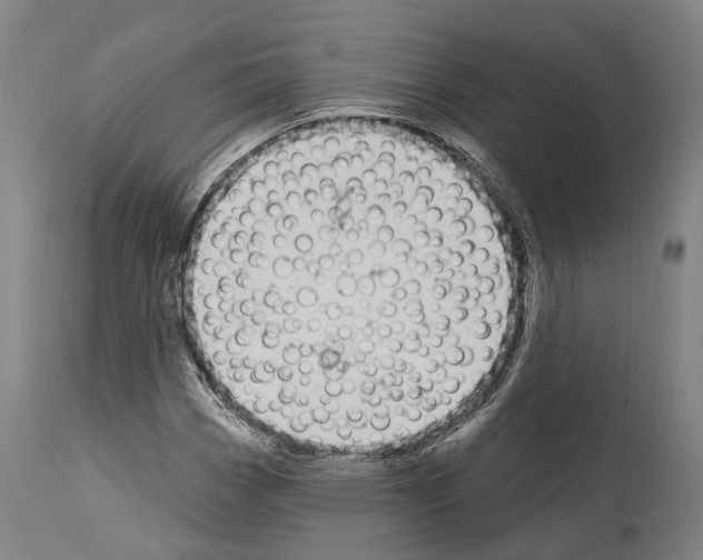 X0000114031113200911131243