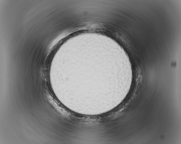 X0000114031114200911131243