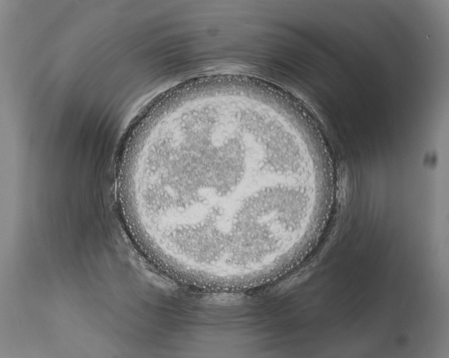 X0000114031117200911131243