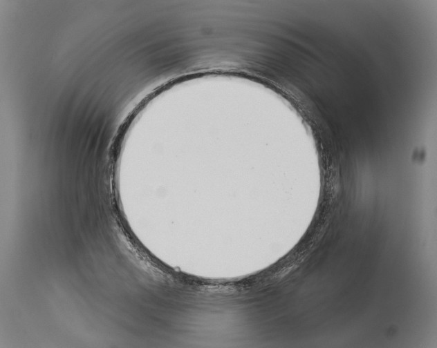 X0000114031118200911131243