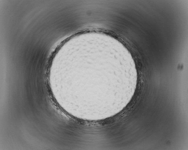 X0000114031120200911131243