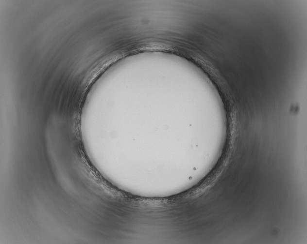 X0000114031121200911131243