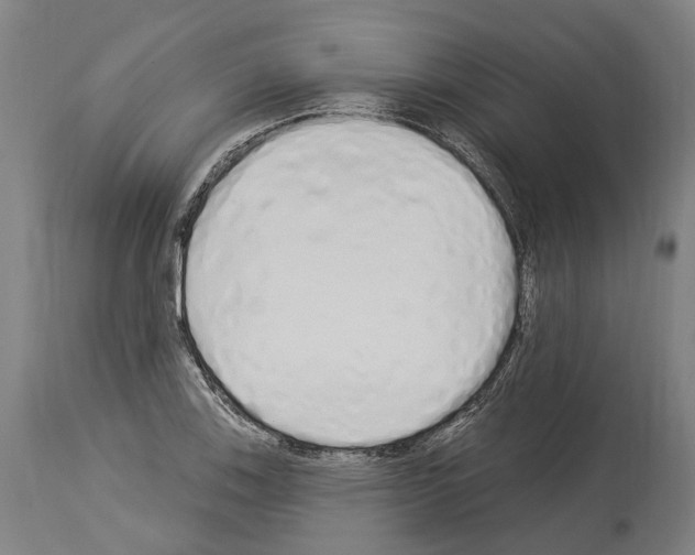 X0000114031123200911131243