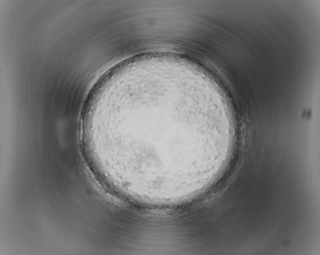 X0000114031125200911131243