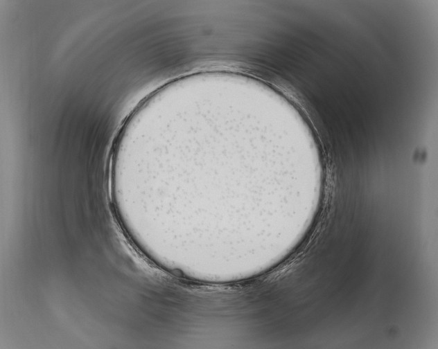 X0000114031127200911131243