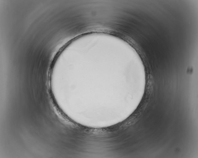 X0000114031128200911131243