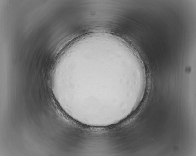 X0000114031129200911131243