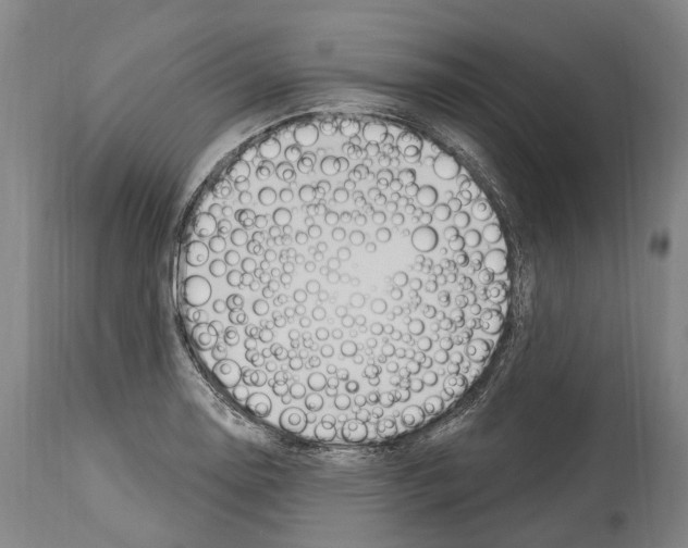 X0000114031130200911131243