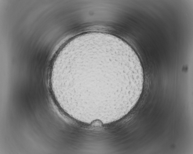 X0000114031131200911131243