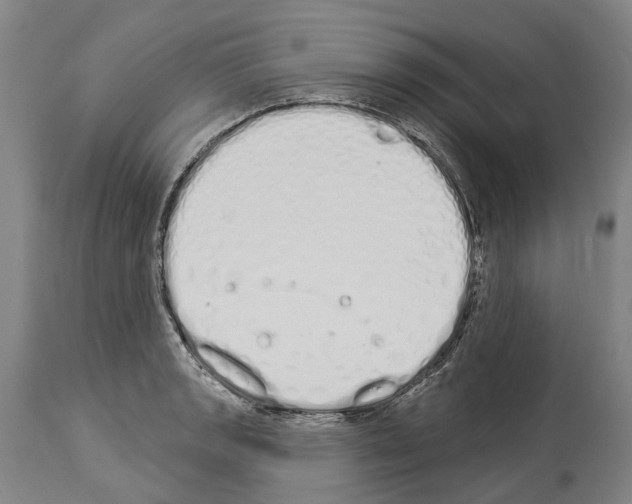 X0000114031133200911131243