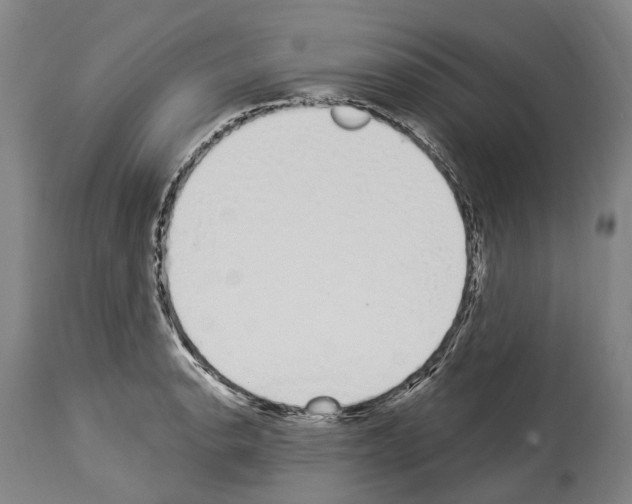 X0000114031134200911131243