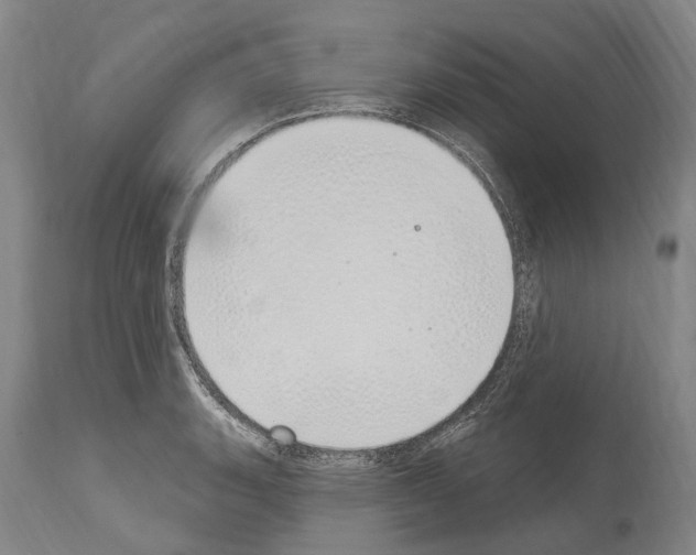 X0000114031135200911131243