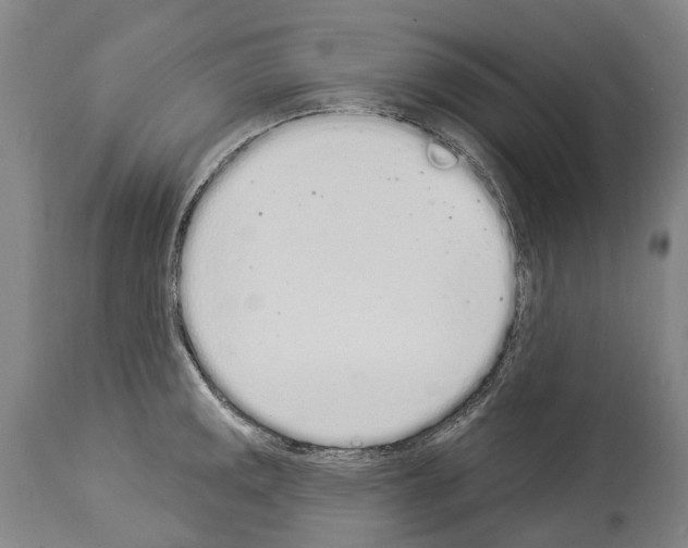 X0000114031141200911131243