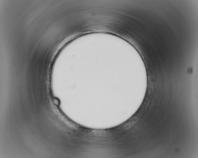 X0000114031142200911131243