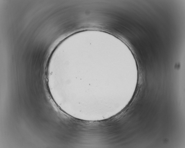 X0000114031144200911131243