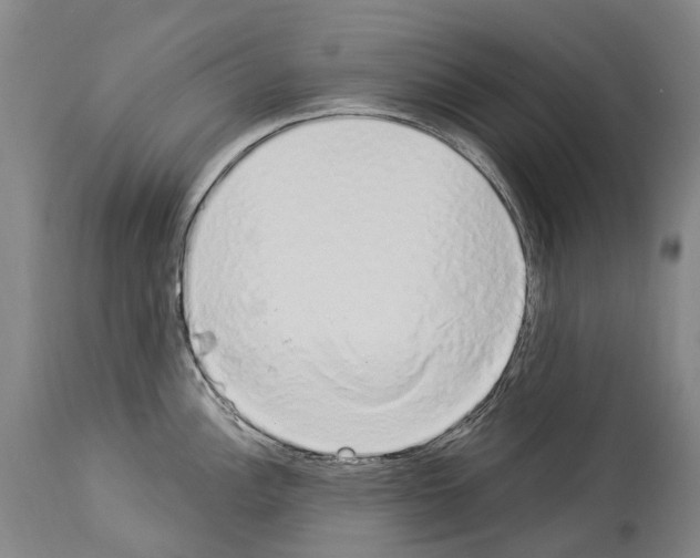 X0000114031148200911131243