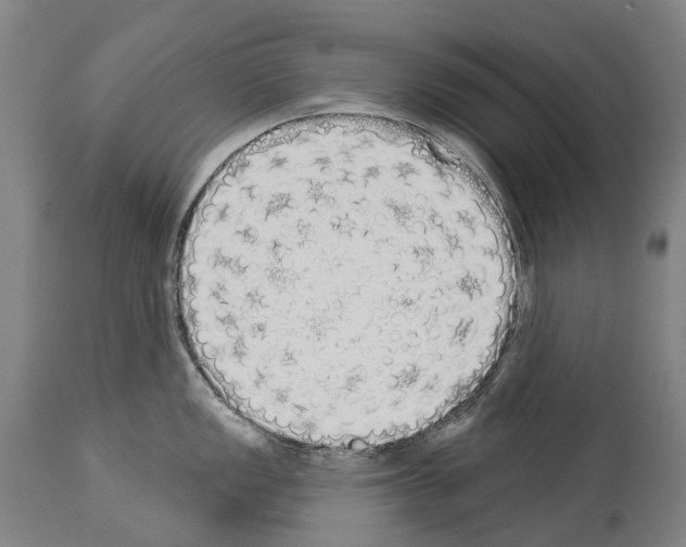 X0000114031149200911131243