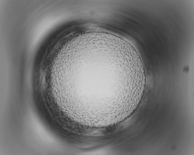 X0000114031150200911131243